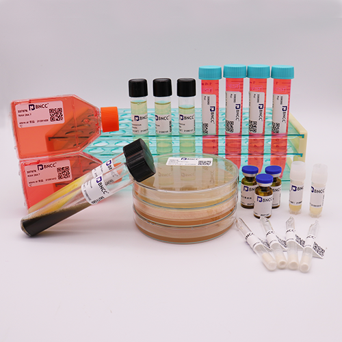 Pseudomonas aeruginosa biochemical identification kit