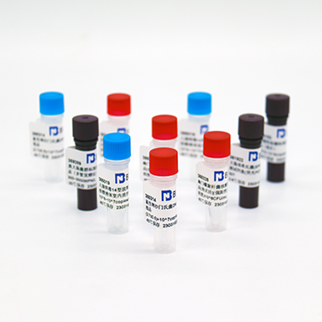 Reference substance for nucleic acid of Campylobacter jejuni (Heat-inactivated) (strongly positive)