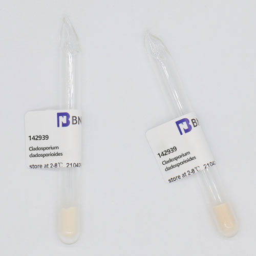 Cladosporium cladosporioides-BNCC