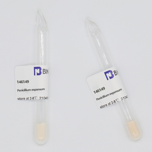 Penicillium expansum-BNCC