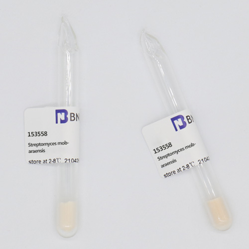 Streptomyces mobaraensis-BNCC