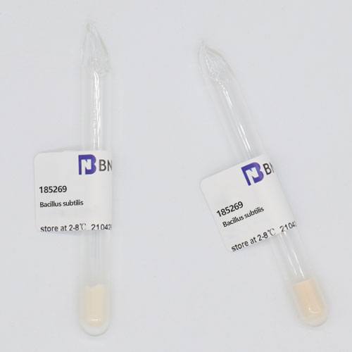 Bacillus subtilis-BNCC