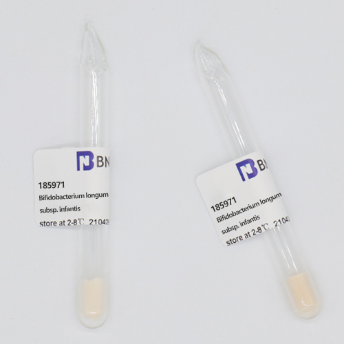 Bifidobacterium longum subsp. infantis-BNCC