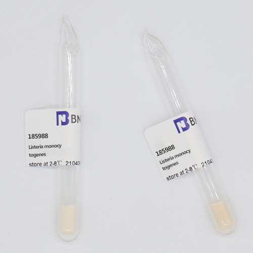 Listeria monocytogenes