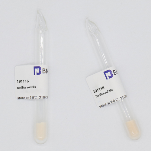 Bacillus subtilis-BNCC