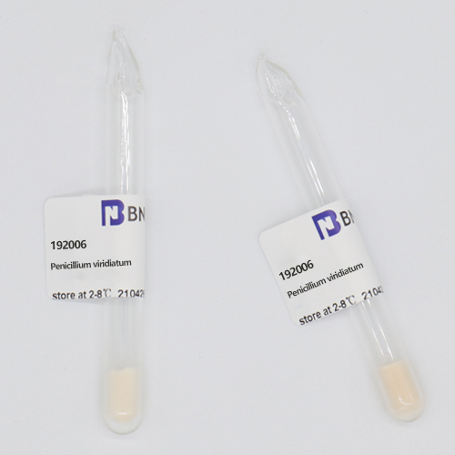 Penicillium viridiatum-BNCC
