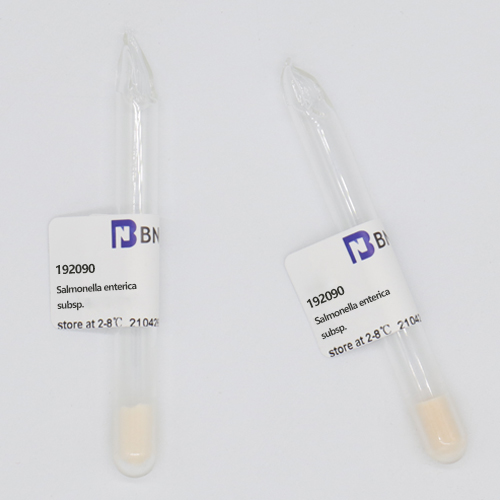 Salmonella enteritidis subsp.