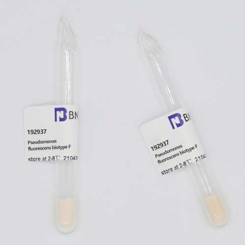 Pseudomonas fluorescens biotype F-BNCC