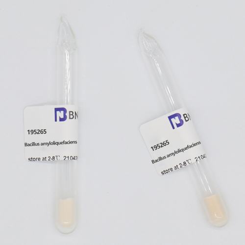 Bacillus amyloliquefaciens-BNCC