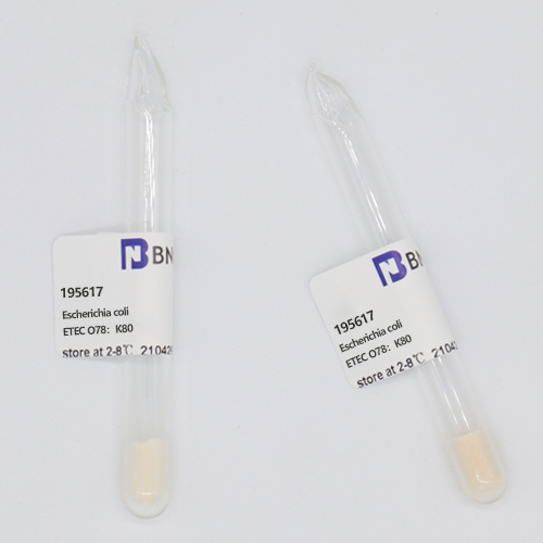 Escherichia coli ETEC O78:K80-BNCC