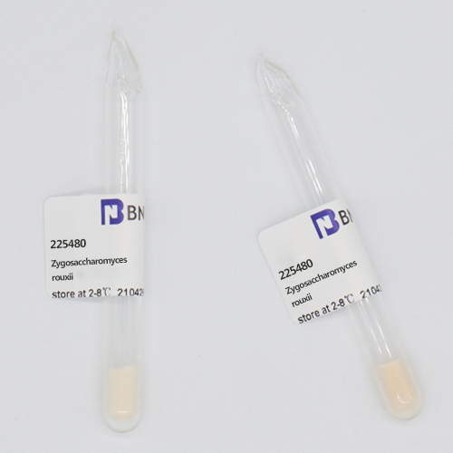 Zygosaccharomyces rouxii