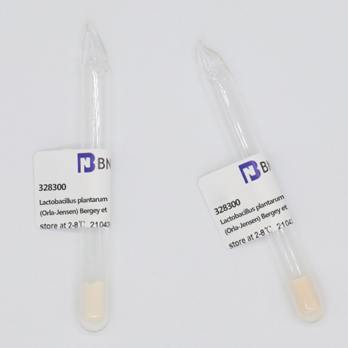 Lactobacillus plantarum (Orla-Jensen) Bergey et al.-BNCC