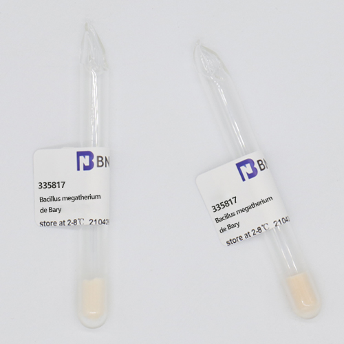 Bacillus megatherium de Bary-BNCC