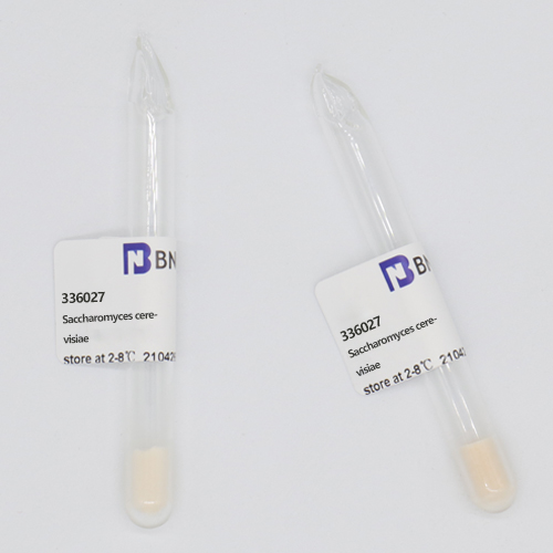 Saccharomyces cerevisiae-BNCC