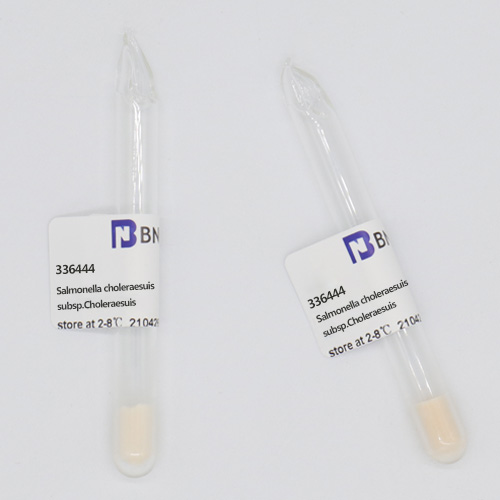 Salmonella choleraesuis subsp.Choleraesuis