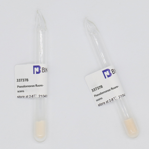 Pseudomonas fluorescens-BNCC