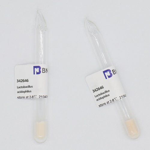 Lactobacillus acidophilus-BNCC