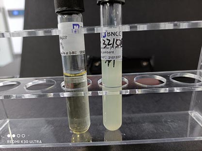 Photorhabdus luminescens subsp.‖luminescens (Thomas and Poinar) Boemare et al.-BNCC