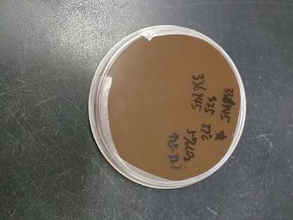 Aggregatibacter actinomycetemcomitans-BNCC