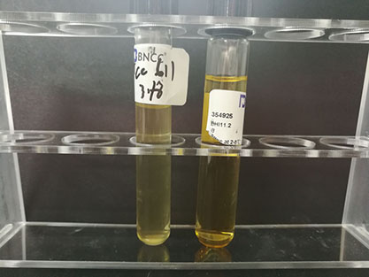 Streptococcus agalactiae Lehmann and Neumann-BNCC