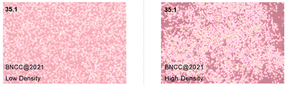 Hybridoma cell anti-CD2-BNCC