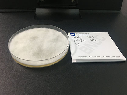 Pythium ultimum-BNCC