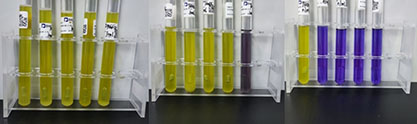 Water quality fecal coliform standard quality control sample (multi-tube fermentation method)-BNCC