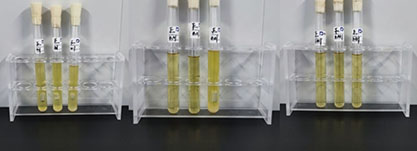 Standard quality control sample of fecal coliform (MPN counting method)-BNCC
