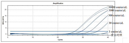 African swine fever virus (ASF) nucleic acid detection kit (fluorescent PCR method)-BNCC